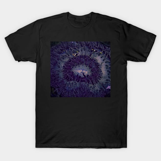 CLOWNING AROUND IN A PURPLE ANEMONE T-Shirt by dumbodancer